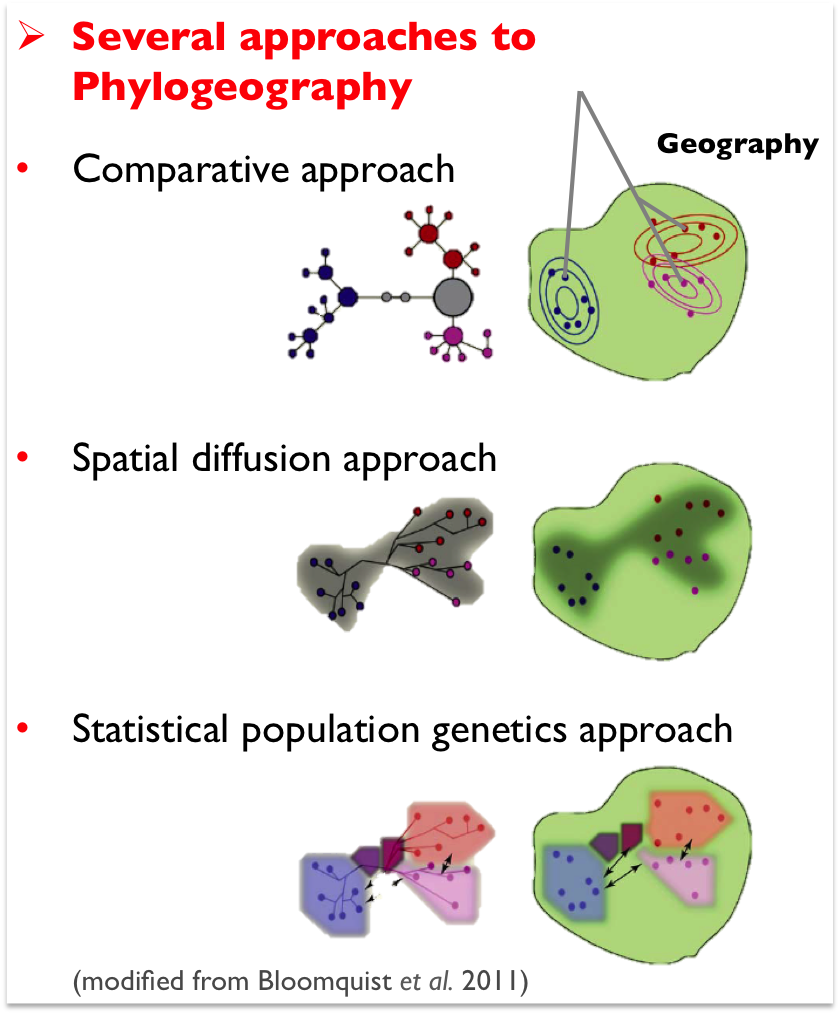 Bloomquist et al. 2010